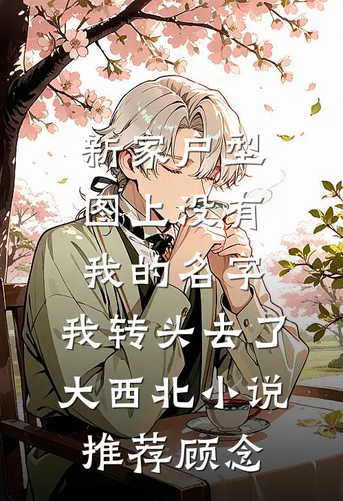 新家户型图上没有我的名字，我转头去了大西北小说推荐顾念