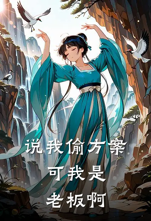 说我偷方案，可我是老板啊