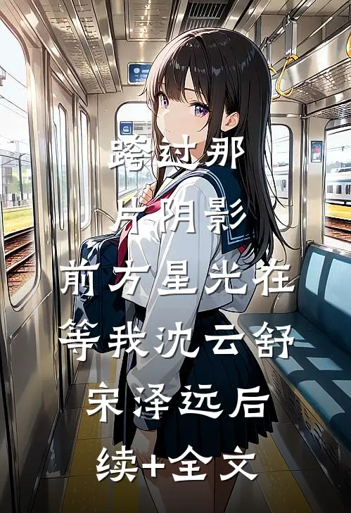 跨过那片阴影，前方星光在等我沈云舒宋泽远后续+全文