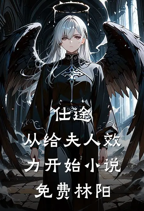 仕途:从给夫人效力开始小说免费林阳