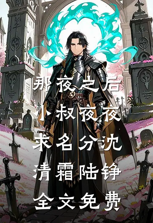 那夜之后，小叔夜夜求名分沈清霜陆铮全文免费