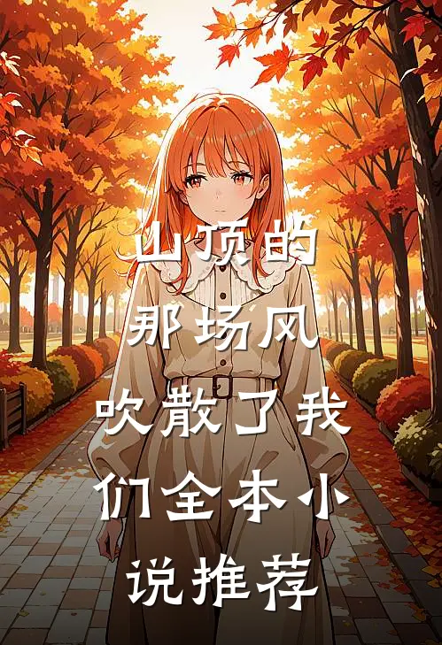 山顶的那场风，吹散了我们全本小说推荐