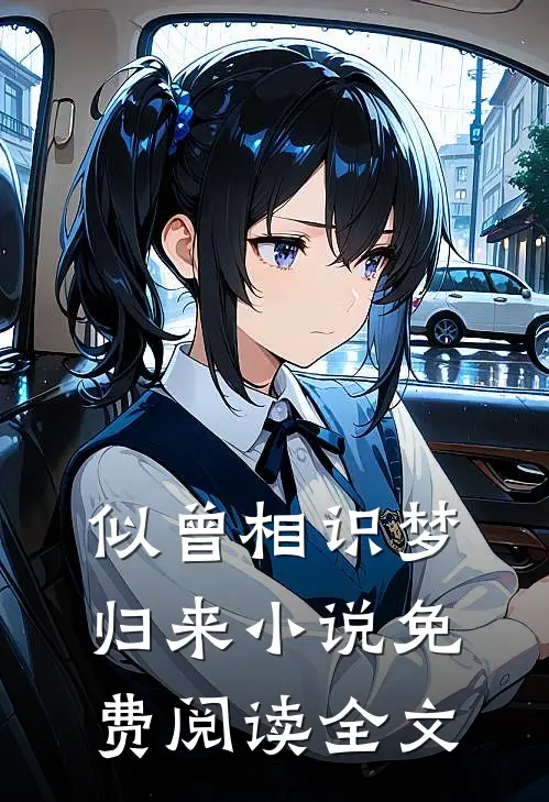 似曾相识梦归来小说免费阅读全文