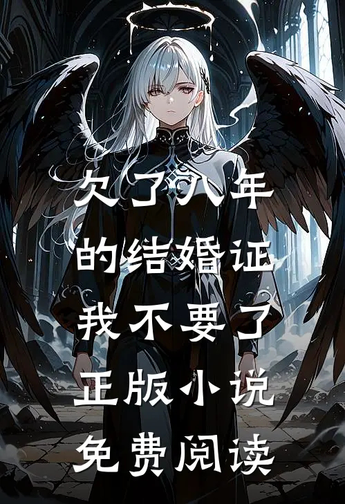 欠了八年的结婚证，我不要了正版小说免费阅读