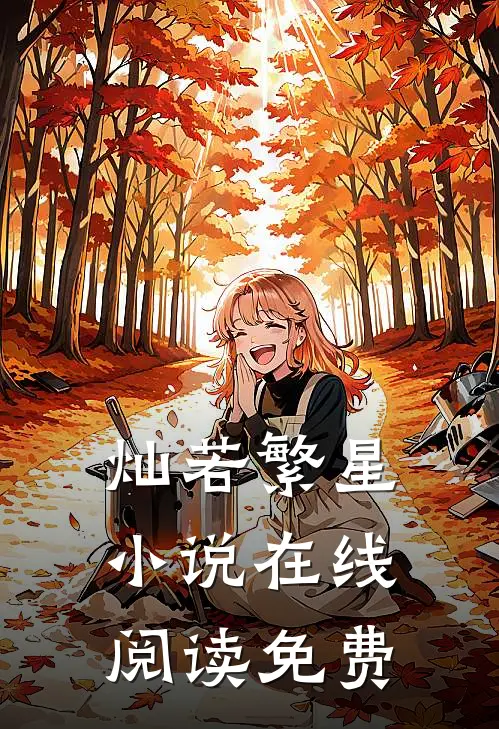 灿若繁星小说在线阅读免费