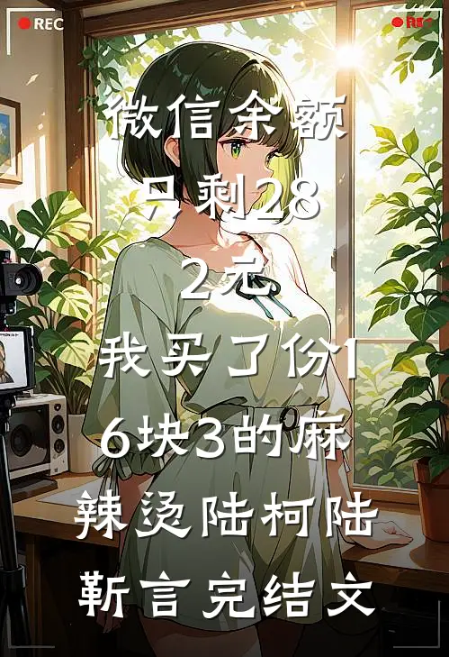 微信余额只剩28.2元，我买了份16块3的麻辣烫陆柯陆靳言完结文