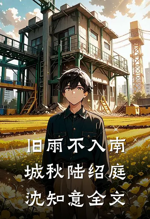 旧雨不入南城秋陆绍庭沈知意全文