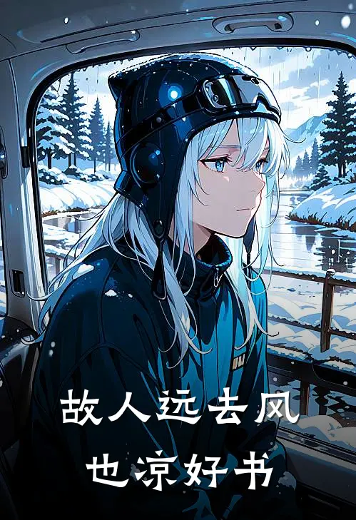 故人远去风也凉好书
