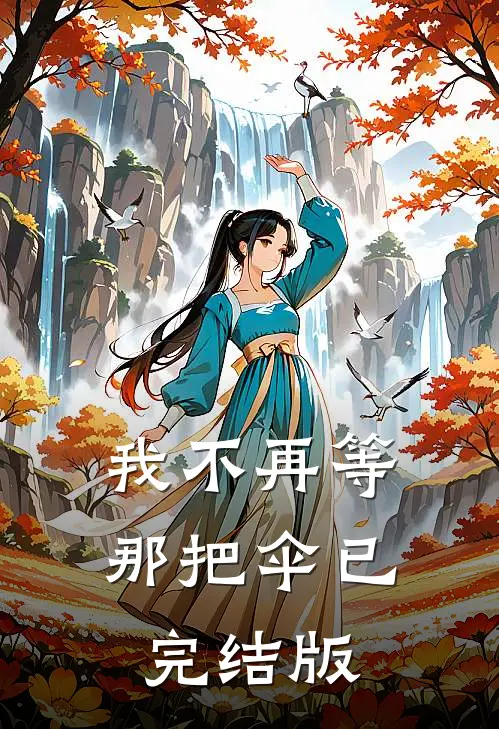 我不再等那把伞已完结版