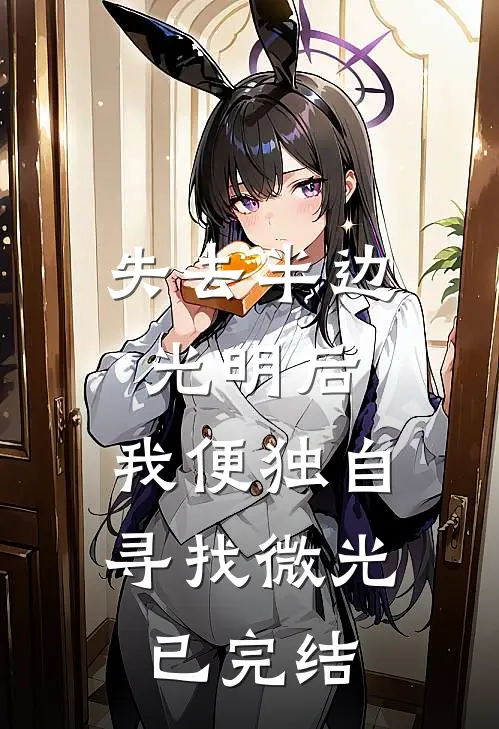 失去半边光明后，我便独自寻找微光已完结
