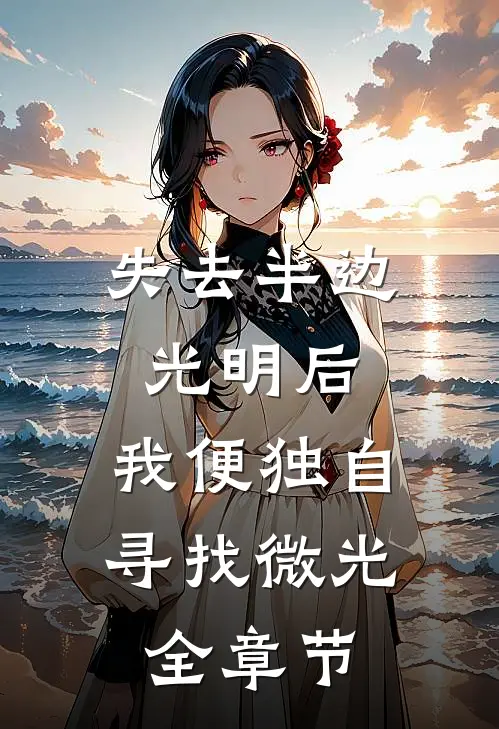 失去半边光明后，我便独自寻找微光全章节