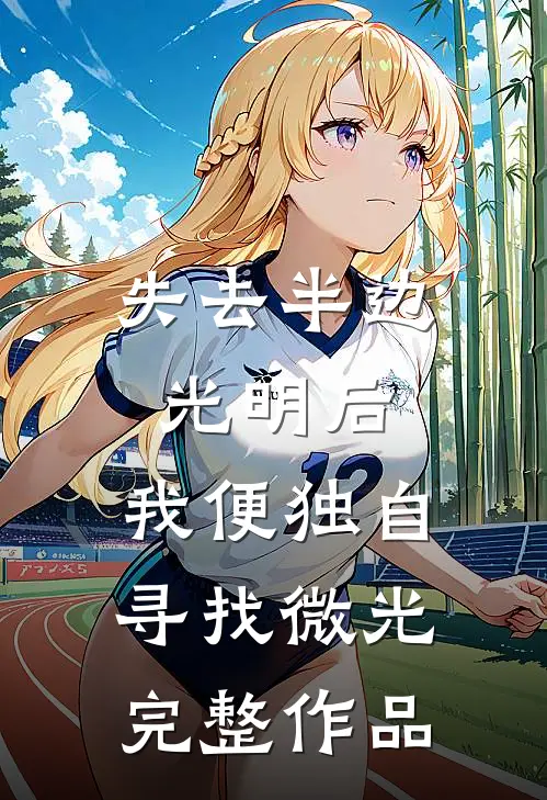 失去半边光明后，我便独自寻找微光完整作品