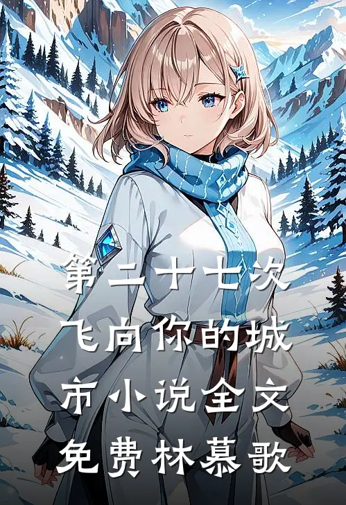 第二十七次飞向你的城市小说全文免费林慕歌