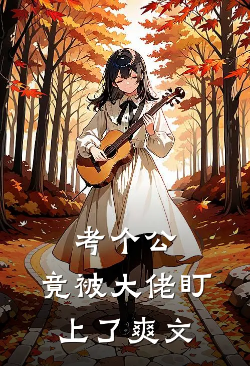 考个公，竟被大佬盯上了爽文
