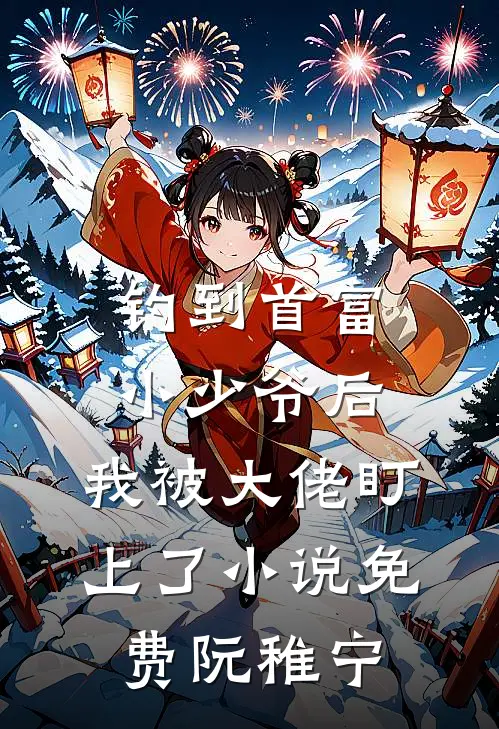 钓到首富小少爷后,我被大佬盯上了小说免费阮稚宁