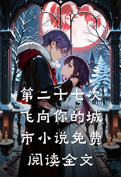 第二十七次飞向你的城市小说免费阅读全文