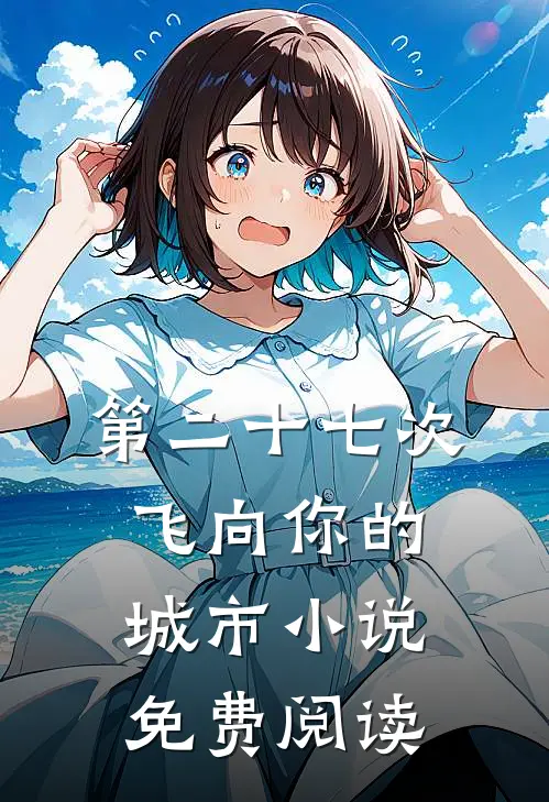 第二十七次飞向你的城市小说免费阅读