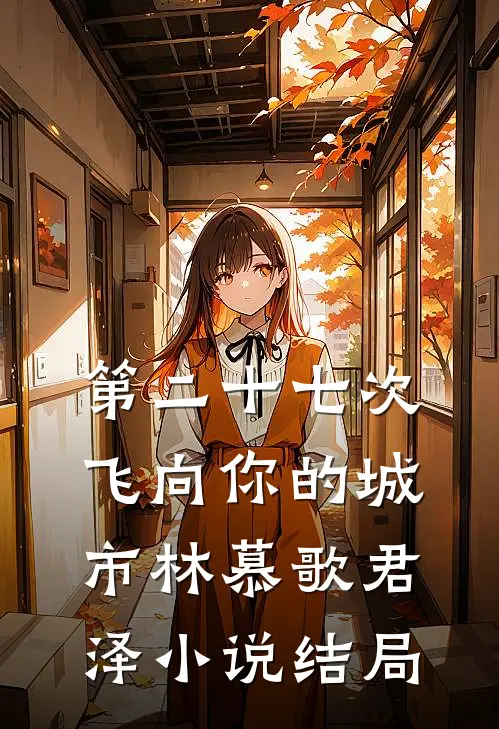 第二十七次飞向你的城市林慕歌君泽小说结局