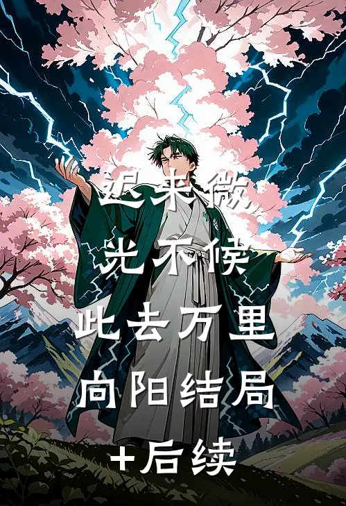迟来微光不候，此去万里向阳结局+后续