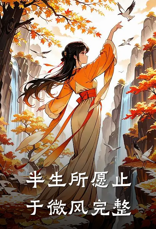 半生所愿止于微风完整