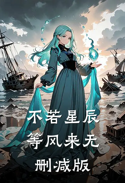 不若星辰等风来无删减版