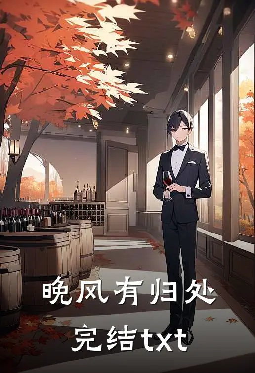 晚风有归处完结txt