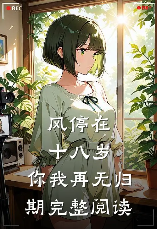 风停在十八岁，你我再无归期完整阅读