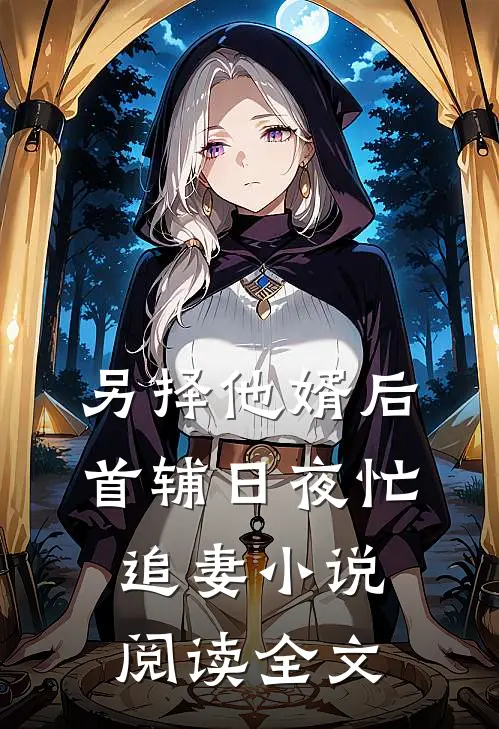 另择他婿后,首辅日夜忙追妻小说阅读全文