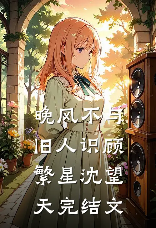 晚风不与旧人识顾繁星沈望天完结文