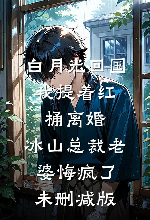 白月光回国，我提着红桶离婚，冰山总裁老婆悔疯了未删减版