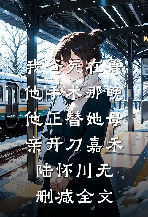 我爸死在等他手术那晚，他正替她母亲开刀嘉禾陆怀川无删减全文