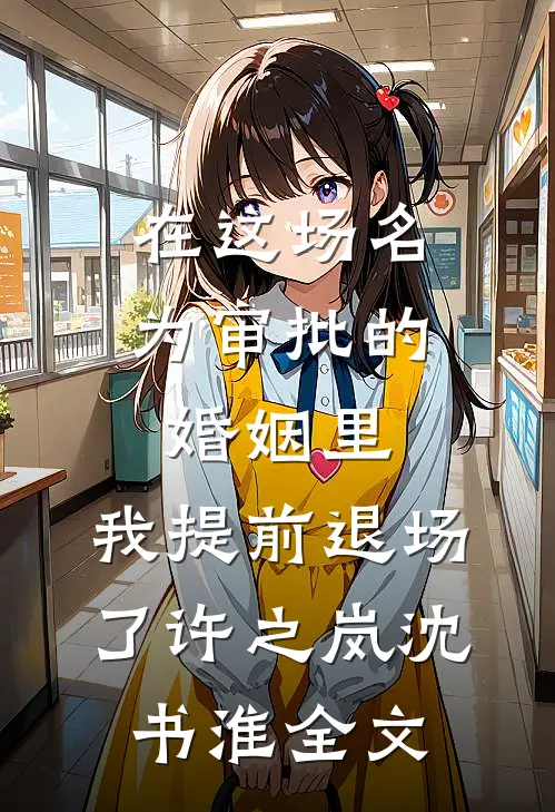 在这场名为审批的婚姻里，我提前退场了许之岚沈书淮全文