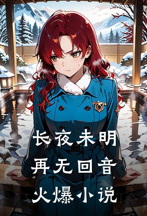 长夜未明，再无回音火爆小说