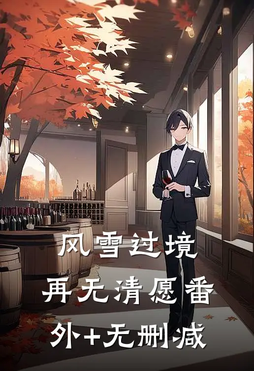 风雪过境，再无清愿番外+无删减