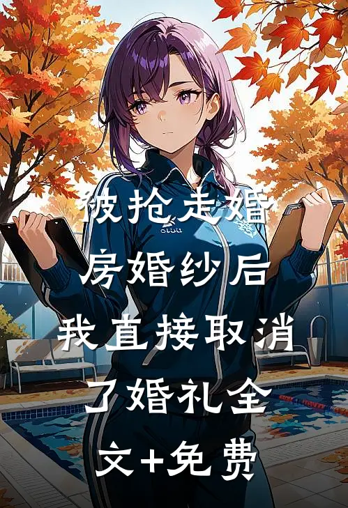 被抢走婚房婚纱后，我直接取消了婚礼全文+免费