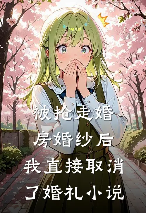 被抢走婚房婚纱后，我直接取消了婚礼小说
