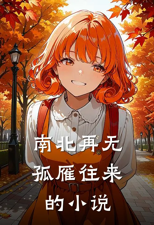 南北再无孤雁往来的小说