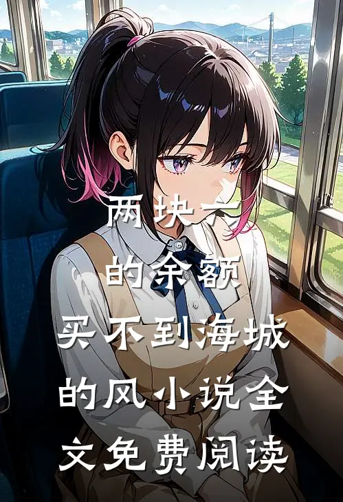 两块六的余额，买不到海城的风小说全文免费阅读