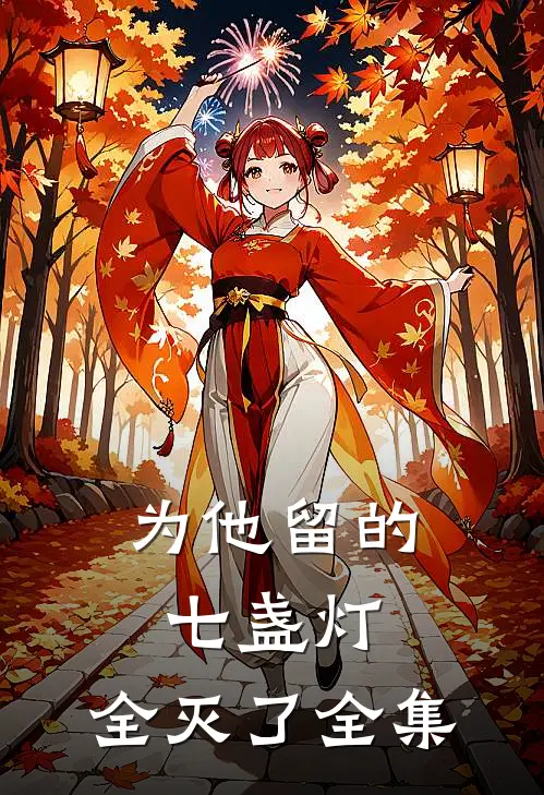 为他留的七盏灯，全灭了全集