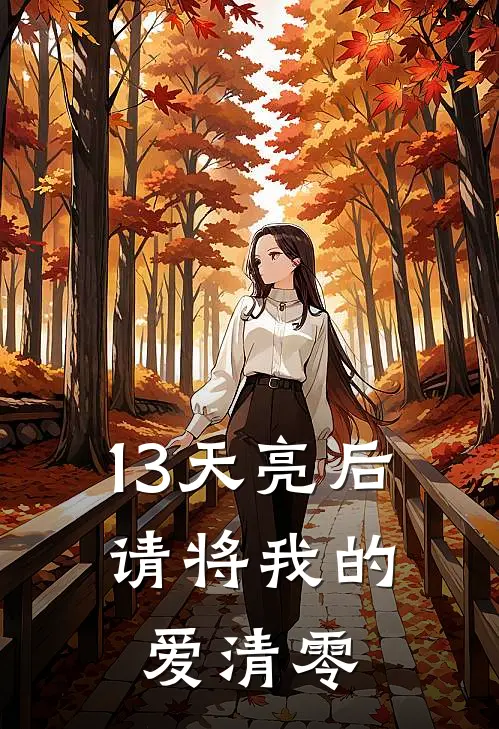 13天亮后，请将我的爱清零