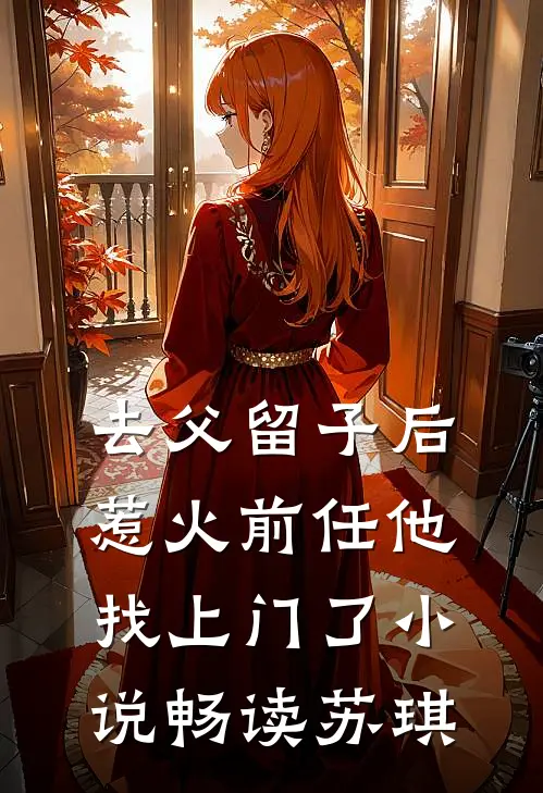 去父留子后，惹火前任他找上门了小说畅读苏琪