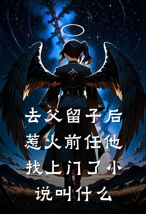 去父留子后,惹火前任他找上门了小说叫什么