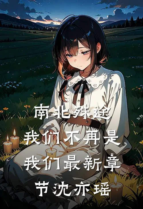 南北殊途,我们不再是我们最新章节沈亦瑶