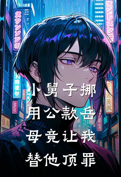小舅子挪用公款岳母竟让我替他顶罪