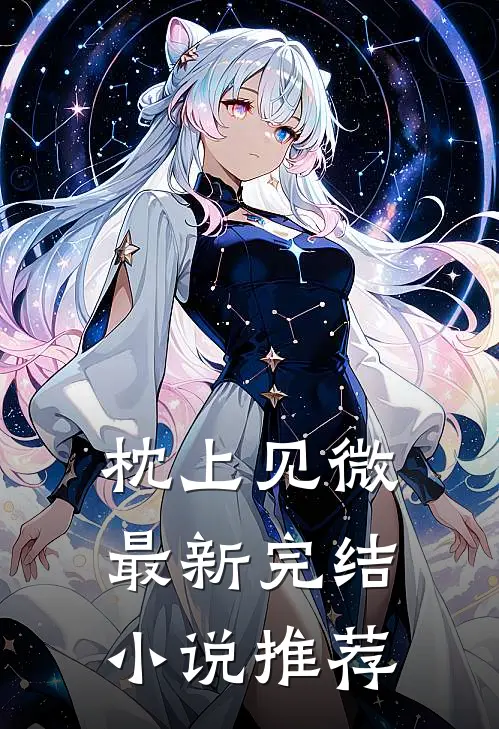 枕上见微最新完结小说推荐