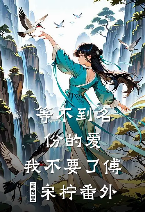 等不到名份的爱，我不要了傅璟宋柠番外