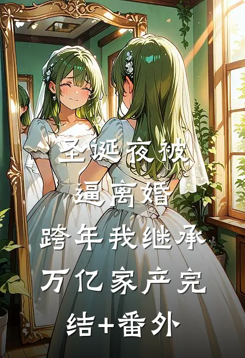 圣诞夜被逼离婚，跨年我继承万亿家产完结+番外