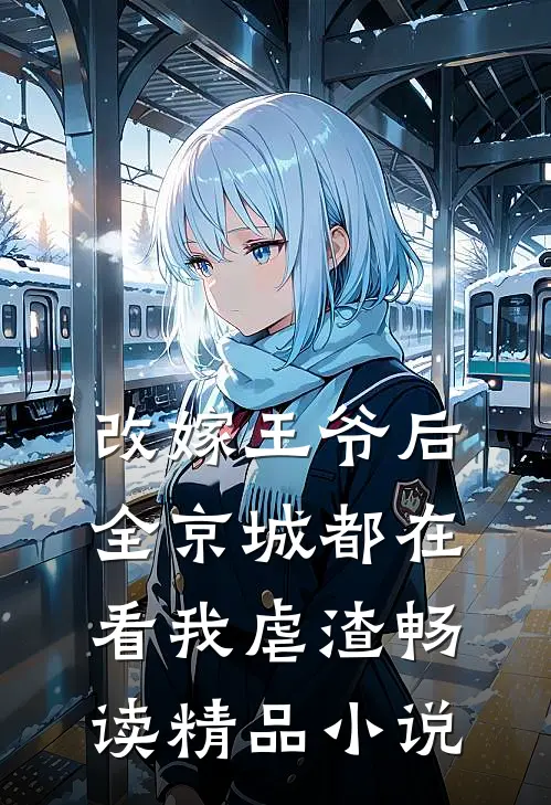 改嫁王爷后,全京城都在看我虐渣畅读精品小说