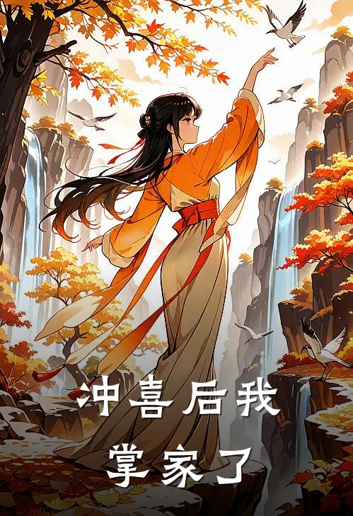 冲喜后我掌家了