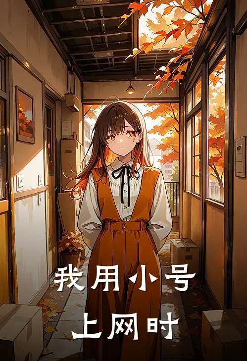 我用小号上网时